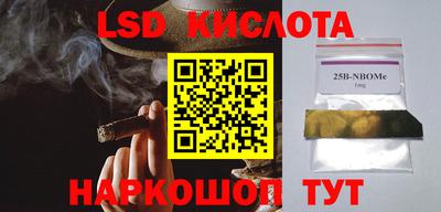 гашик Малоярославец