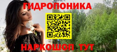 гашик Малоярославец